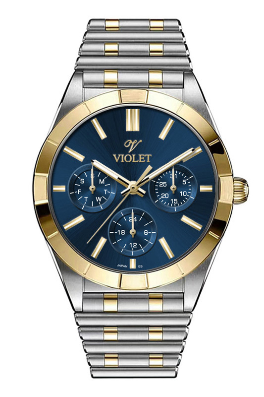 Violet 0613L 4.2.1 Violet 0613L 4.2.1