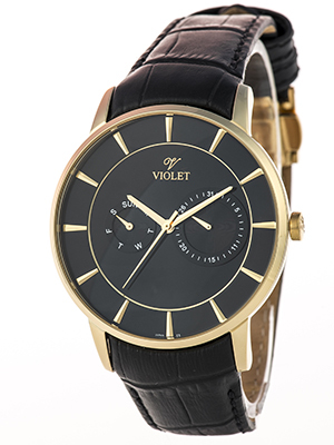 Violet 0316 G 9.1.2 Violet 0316 G 9.1.2